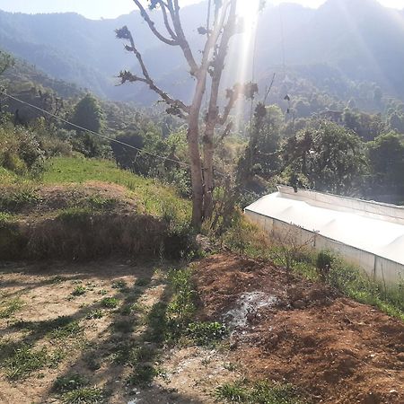 Parvatiya Homestay มัสซูรี ภายนอก รูปภาพ